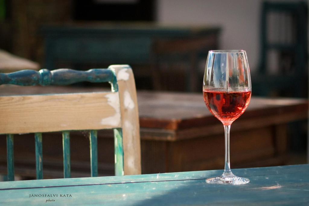 Koczor Winery & Guesthouse Balatonfured Ngoại thất bức ảnh
