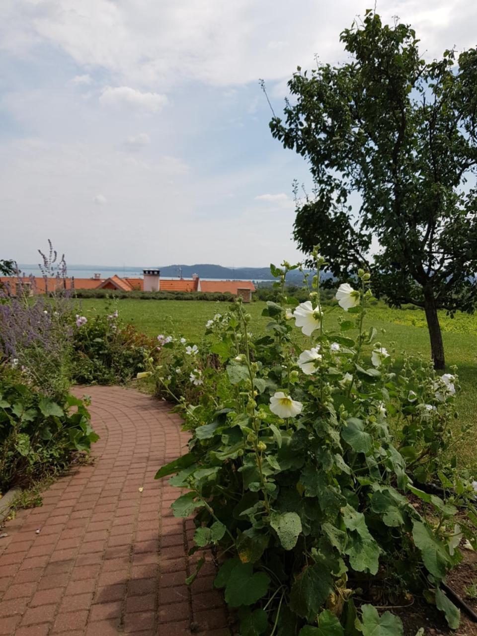 Koczor Winery & Guesthouse Balatonfured Ngoại thất bức ảnh