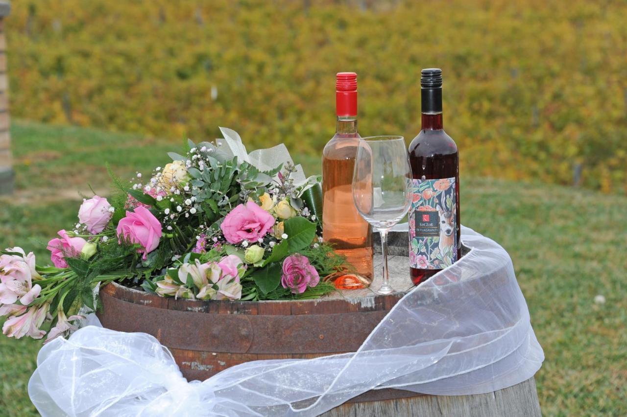 Koczor Winery & Guesthouse Balatonfured Ngoại thất bức ảnh