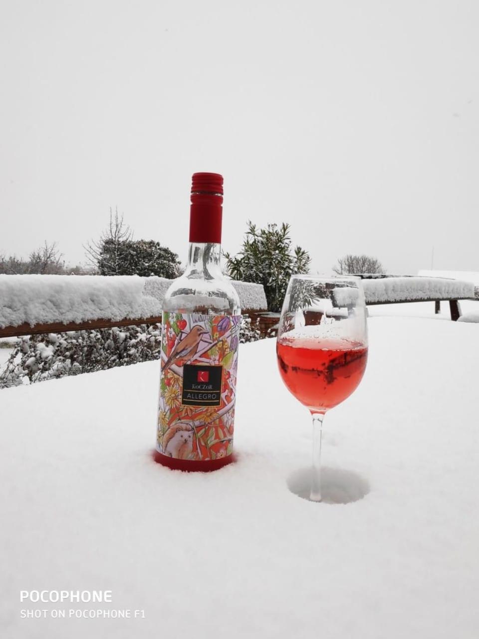 Koczor Winery & Guesthouse Balatonfured Ngoại thất bức ảnh