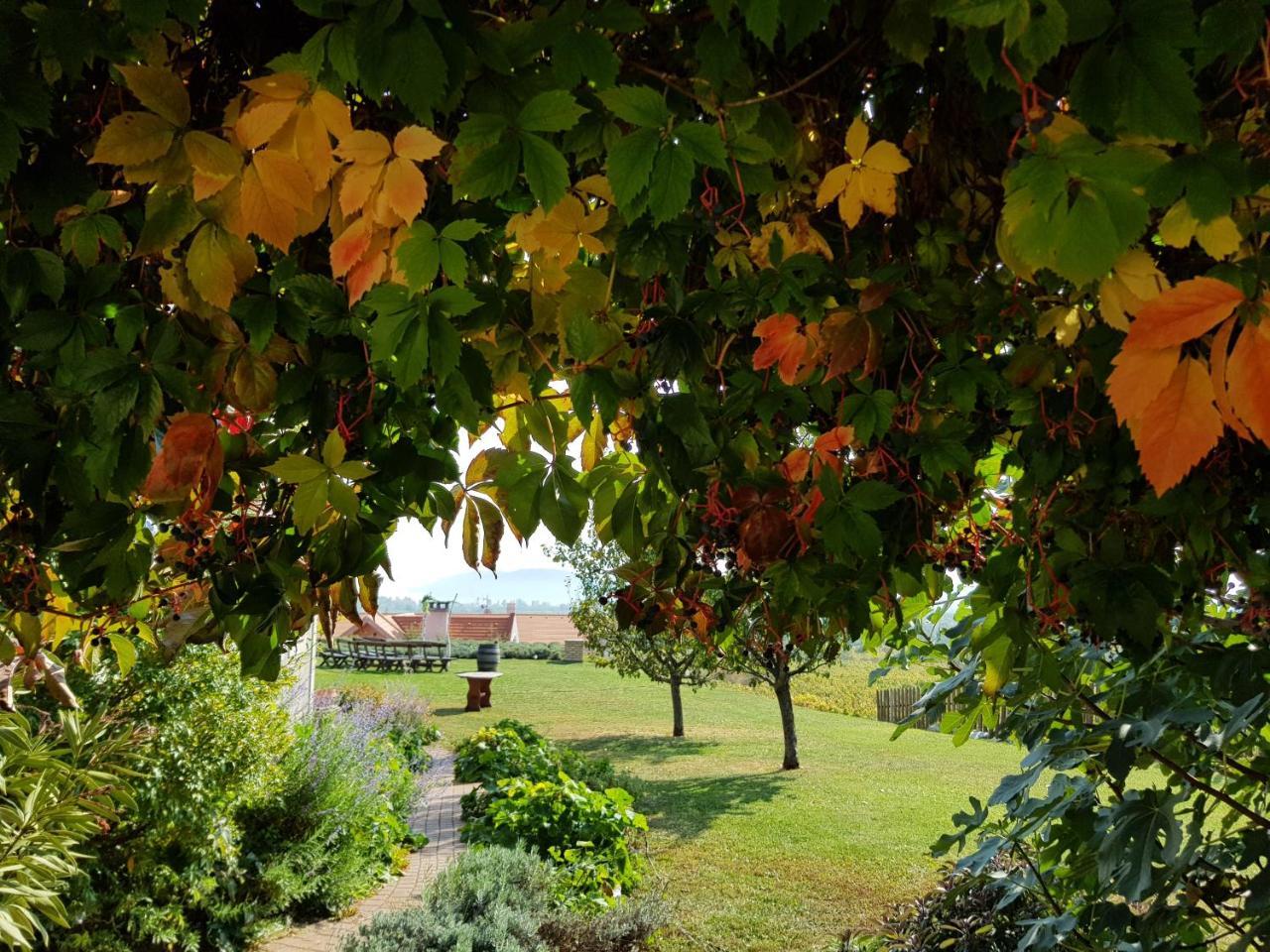 Koczor Winery & Guesthouse Balatonfured Ngoại thất bức ảnh
