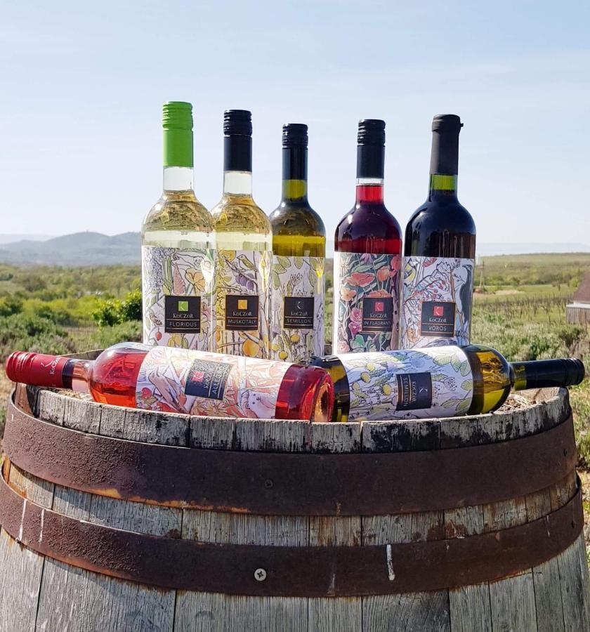 Koczor Winery & Guesthouse Balatonfured Ngoại thất bức ảnh