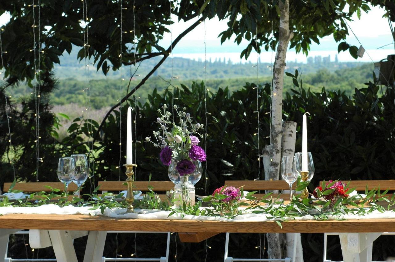 Koczor Winery & Guesthouse Balatonfured Ngoại thất bức ảnh